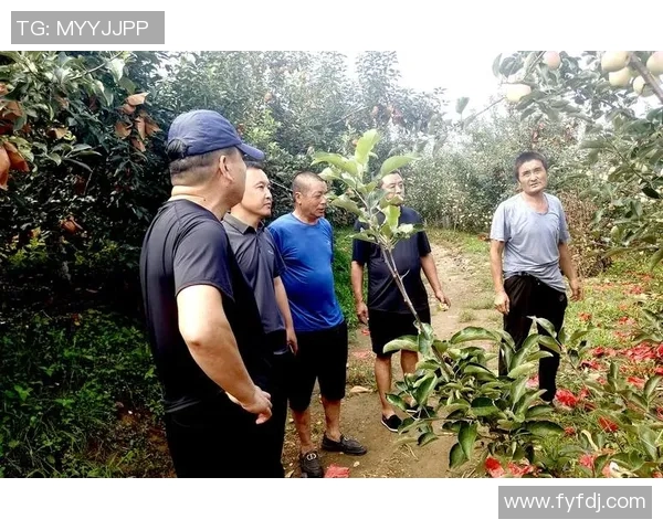 果园的四季变化与果树栽培技术的创新探索与实践