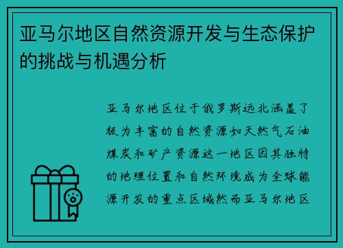 亚马尔地区自然资源开发与生态保护的挑战与机遇分析